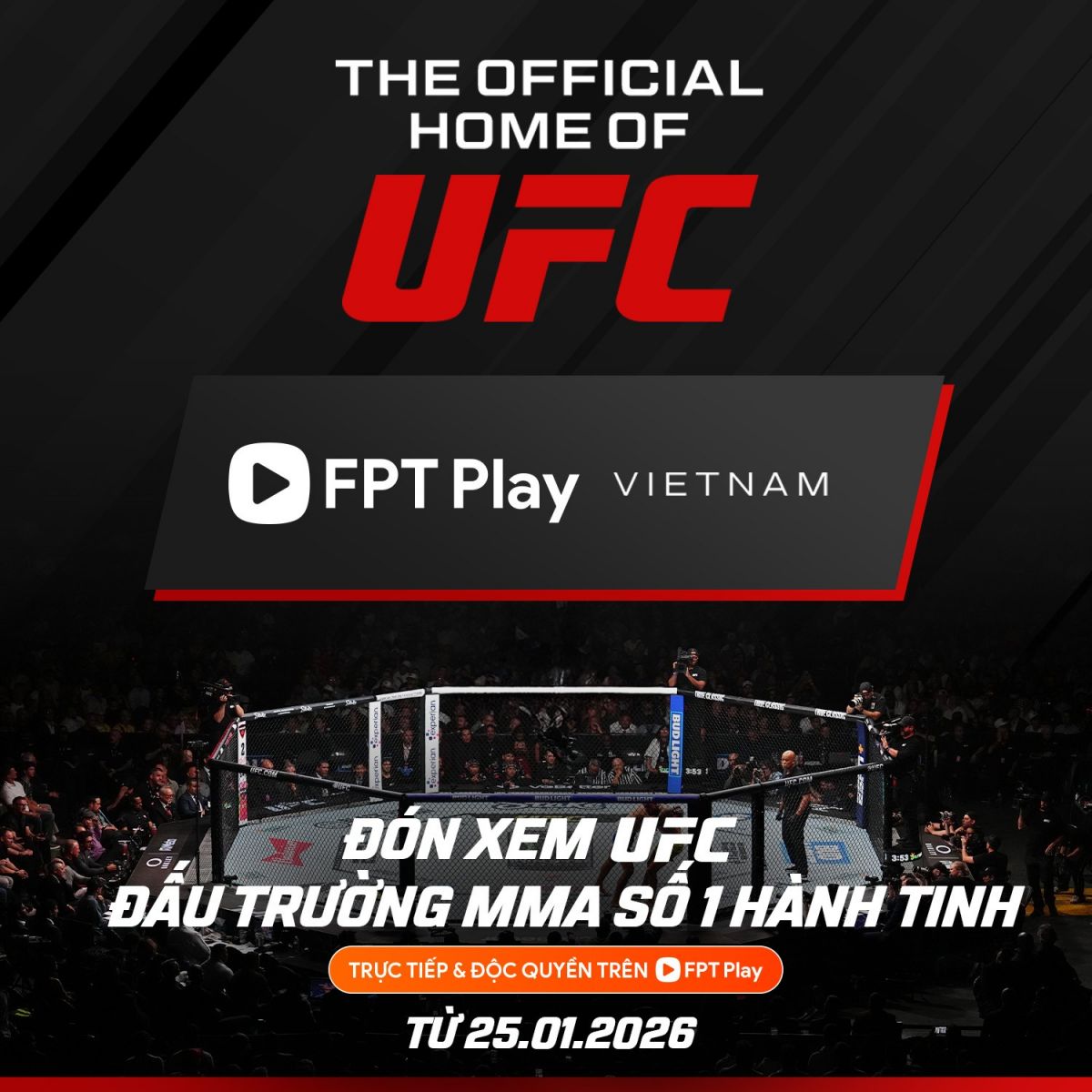 giải đấu mma, đấu trường ufc